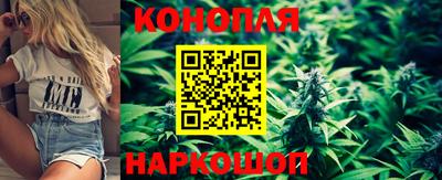 jwh Краснодар