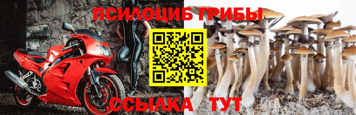 Йошкар-Ола  Псилоцибиновые грибы Cubensis  Галлюциногенные грибы GOLDEN TEACHER  Вход с VPN 