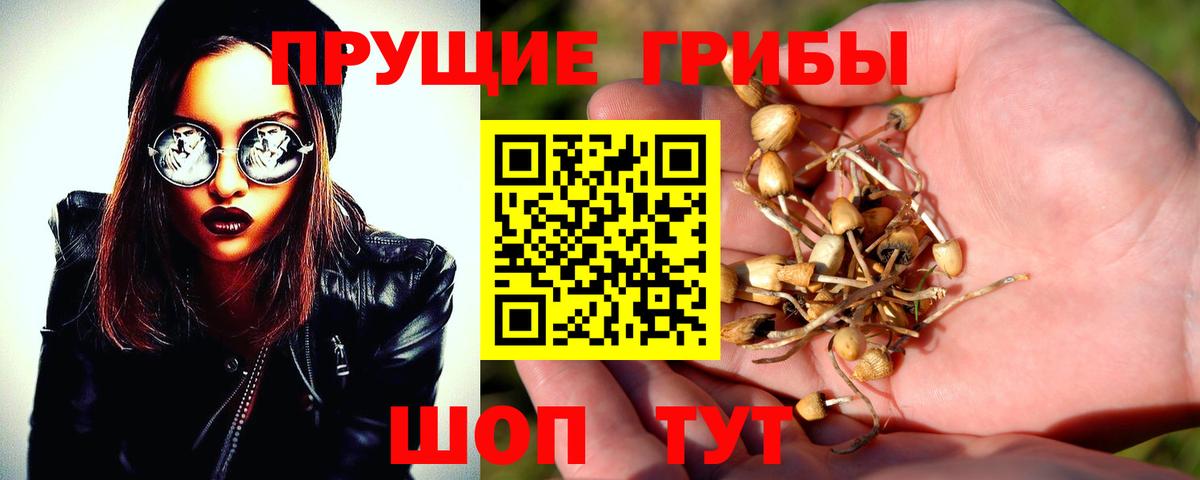 Галлюциногенные грибы мухоморы Йошкар-Ола